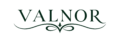 valnor logo